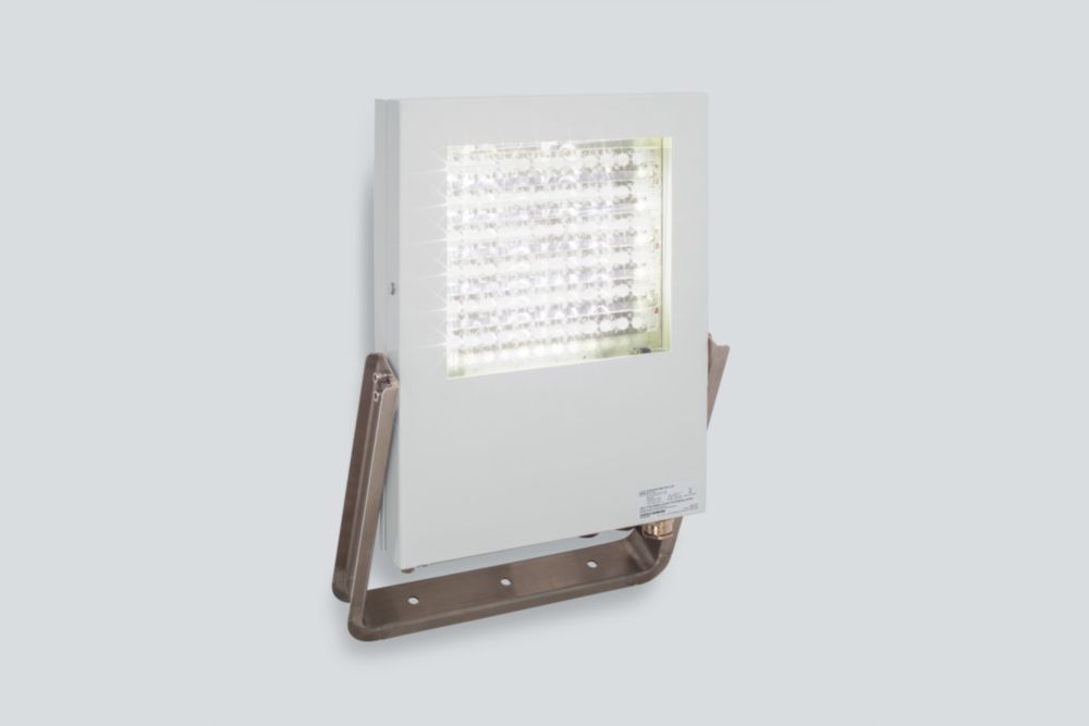 Floodlight LED Series 6525/21